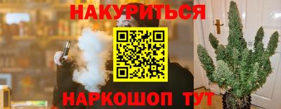 стаф Моздок