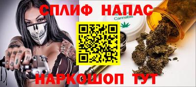 МДПВ Можайск