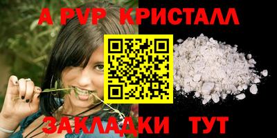 стаф Моздок