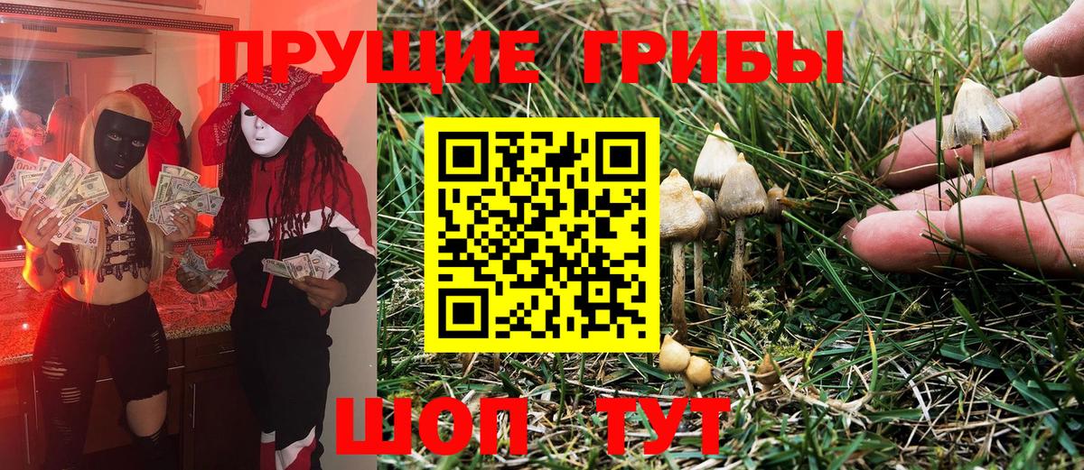 Галлюциногенные грибы прущие грибы Учалы
